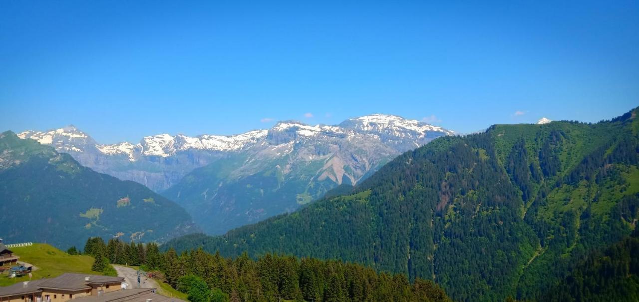 Appartement Au Pied Des Pistes Самоен Экстерьер фото
